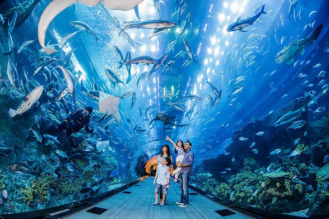 Dubai City Pass: All Inclusive Pass With Hop on Hop off & Tours - Booking and Accessibility Details