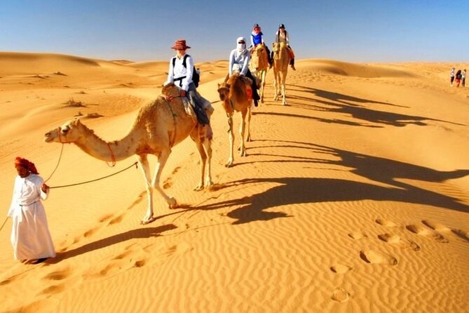Dubai Desert Safari With Live Show, BBQ Dinner, Camel Ride & Sand Board Options - Cancellation Policy