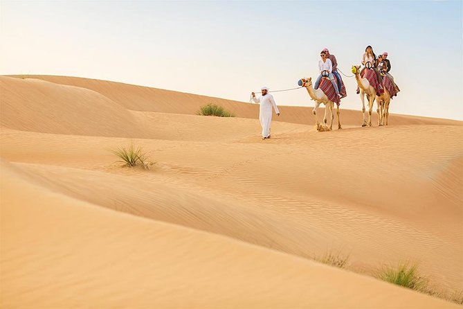 Dubai Red Dunes Morning Safari With Camel Ride - Health and Safety Considerations