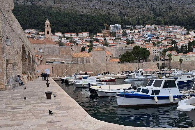 Dubrovnik Old Town From Montenegro (Private Tour) - Visit the Franciscan Monastery