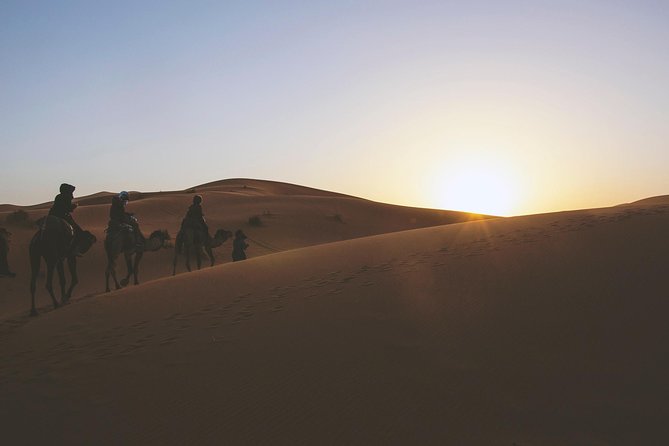 Dune Safari,Sand Boarding, Camel Ride, Sealine and Inlands Sea - Exploring Sealine and Inlands Sea