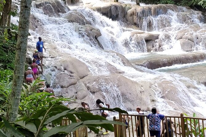Dunn'S River Falls and Shopping From Montego Bay - Health and Accessibility Considerations