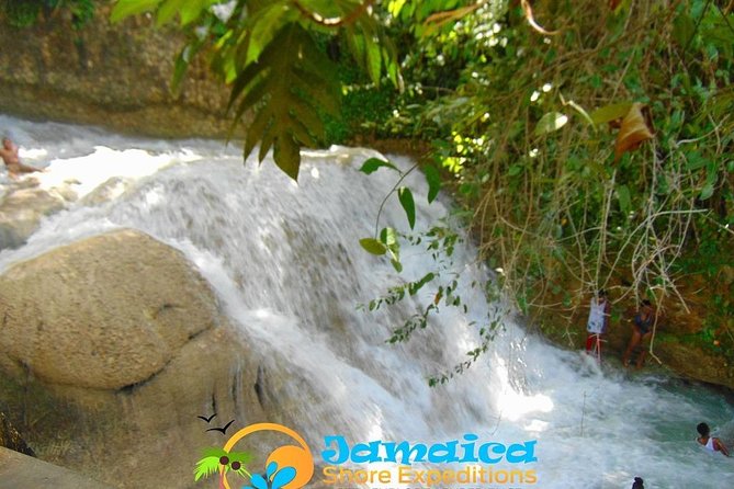 Dunns River Falls & Ocho Rios City Tour - What to Expect