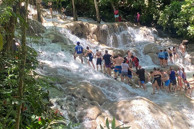 Dunns River Private Tour - Booking and Cancellation Policy