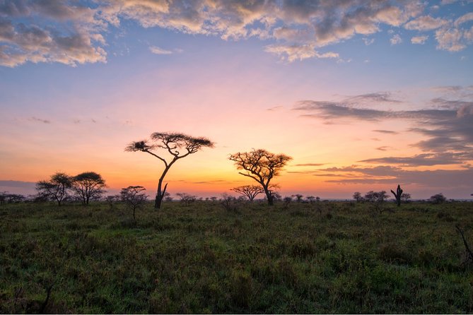 Durban: Big 5 Luxury Safari at an Award Winning Game Reserve — Zeiss Binoculars - Wildlife Sightings