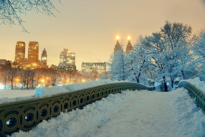 Dyker Heights Holiday Tour Review - Booking and Cancellation Details