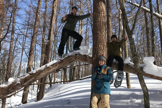 【5 Minutes From Water Ic】 Snow Trekking Half-Day Tour to Enjoy Japanese Snowscapes - Experience the Snowy Landscapes