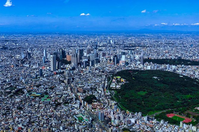 【75 Mins】 Tokyo-Mt.Fuji Tour: Mt. Fuji Helicopter Tour - Highlights of the Helicopter Tour