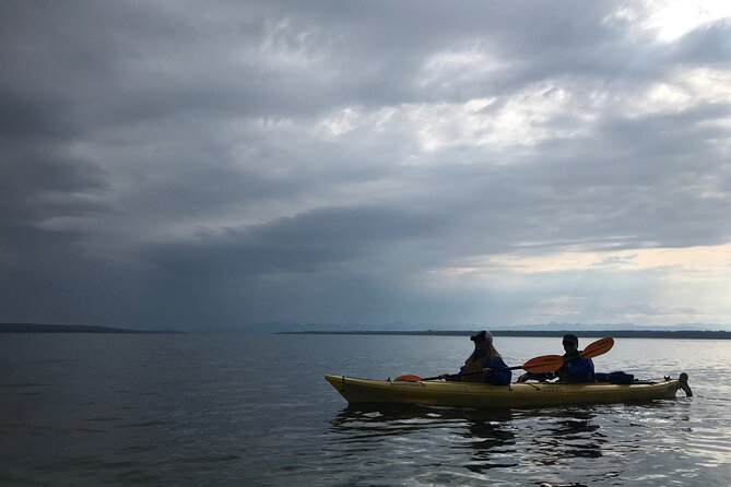 Early Morning Guided Kayak Tour - Booking Information
