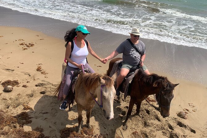 East Coast Horseback Riding, Waterfall & Soufriere Private Tour - Booking Process