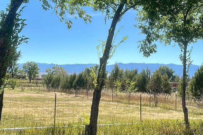 EBIKE Winery Tour in Penrose, Colorado: Penrose Uncorked - Packing Your Purchases
