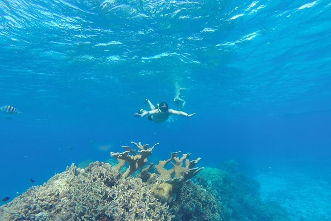 El Cielo and Snorkel Private Excursion - Tips for a Great Experience
