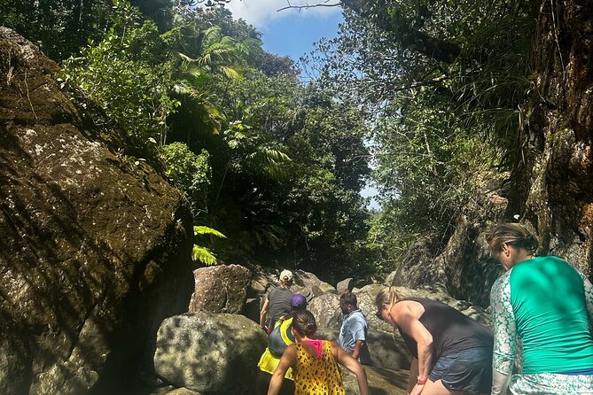 El Yunque Green Trail Day Excursion With Transport - Exploring the El Yunque Green Trail