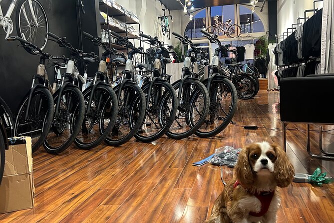 Electric Bike Rental in Santa Barbara - Booking and Cancellation Policies