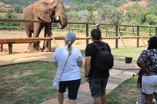 Elephant Sanctuary Tour From Johannesburg - Pricing Information