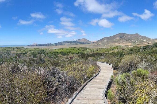 Elfin Forest Nature Tour With Local Sweet and Savory Tasting - Positive Review Highlights