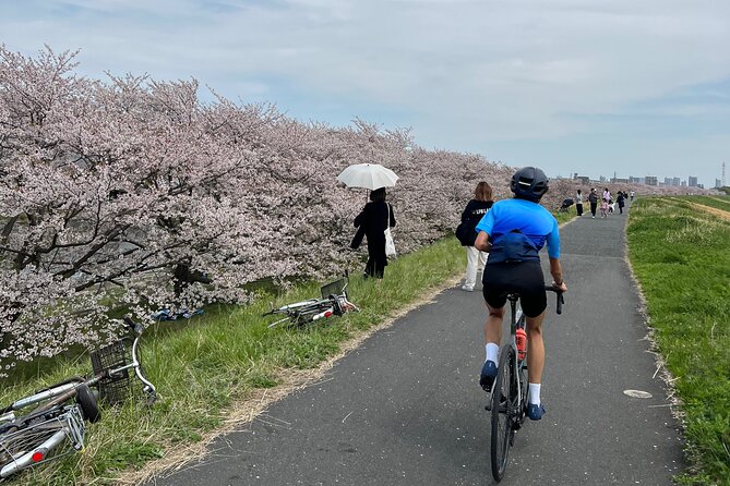 English/Italian Guided Cycling Tour in Tokyo(With a Rental Bike) - Booking Information