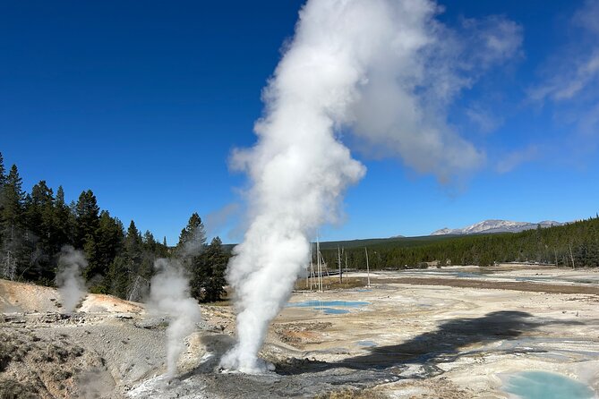 Epic Yellowstone Private Tour - Exceptional Value and Customer Satisfaction
