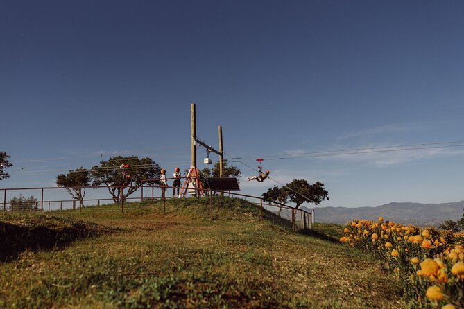 Epic Zipline Tour Near Santa Barbara - Traveler Experiences and Reviews