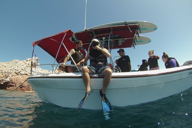 Espiritu Santo Island Combo: Sea Lions and Paddleboard 1 to 6 Private Group - Pricing and Availability