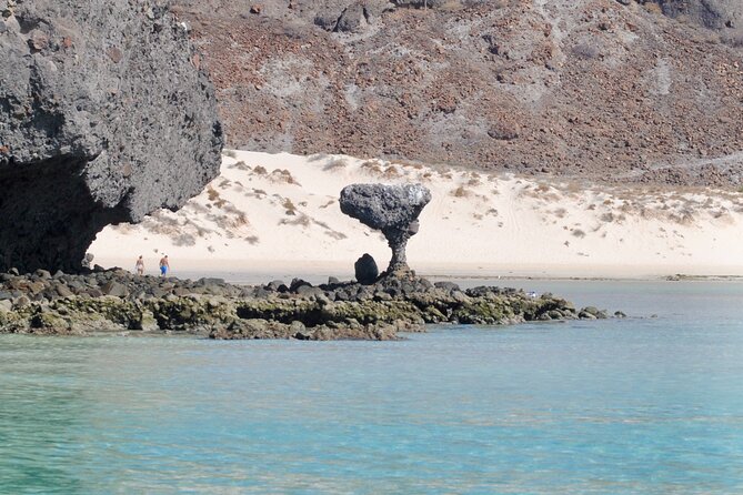 Espiritu Santo Island Tour - Participant Guidelines