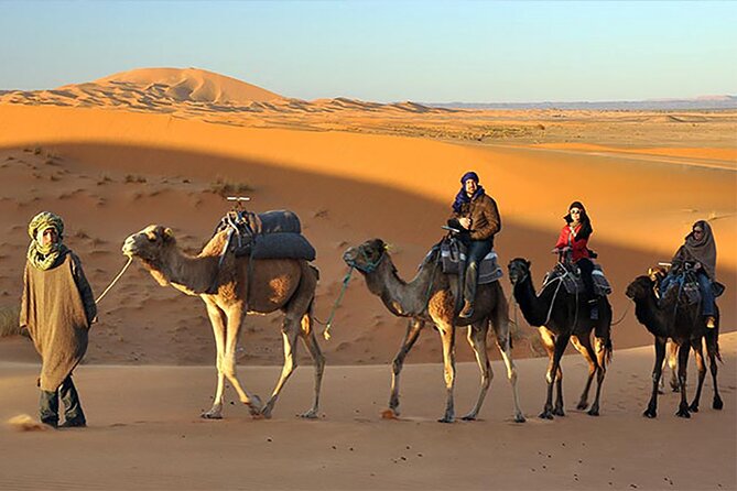Evening Desert Safari Dubai With Belly Dance & BBQ Dinner - Pricing and Cancellation Policy