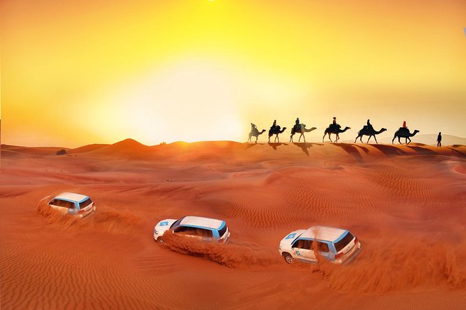 Evening Desert Safari With BBQ Dinner - Pricing Information