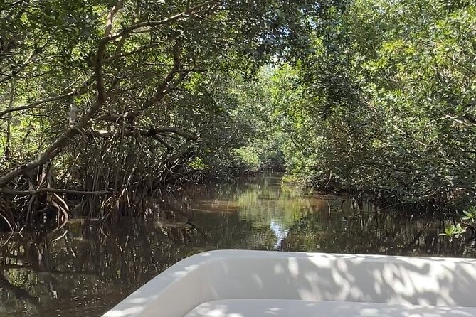 Everglades Mangrove Wilderness Boat Tour - Exploring the Everglades Mangrove Wilderness