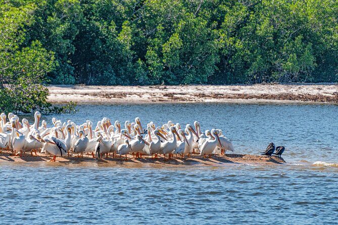 Everglades National Park Boat Tour - Booking Information
