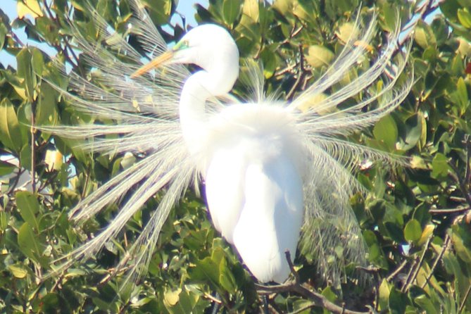Everglades National Park Small Group Guided Boating & Walking Tour Expedition - Insights Into the Native American Culture