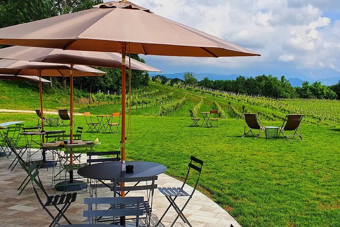 Exclusive Tasting of Superior Prosecco and Amarone - Booking Process