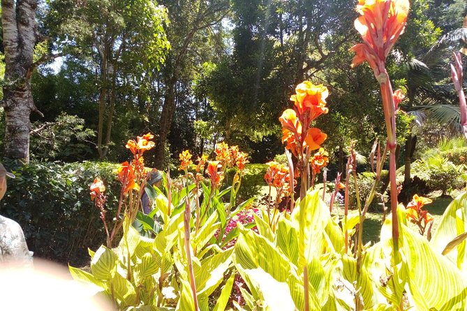 Excursion to Kiambethu Tea Farm - Tips for Your Visit