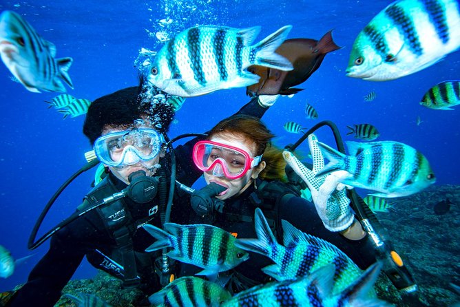 Experience Diving & Banana Boat by Boat - Meeting and Logistics