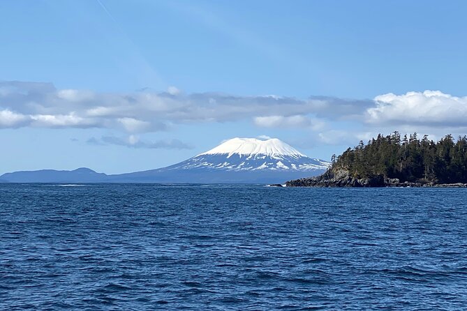 Experience Local Marine Wildlife Tour - Customer Feedback