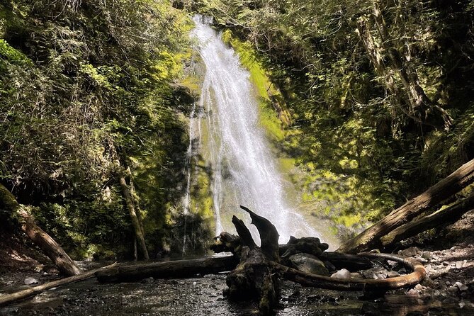Experience the Spectacular Beauty of the Olympic Peninsula - Health and Fitness Considerations