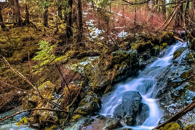 Explore Beyond the Dock: Unforgettable Private Tour in Sitka - Sitka National Forest: Coastal Trails and Totem Poles