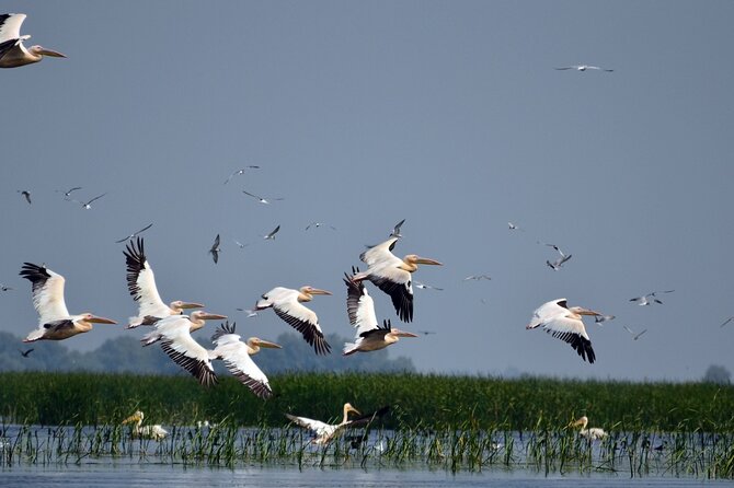 Explore Danube Delta and Black See in 2 Day Private Tour From Bucharest - Inclusive Accommodations, Meals, and Entrance Fees