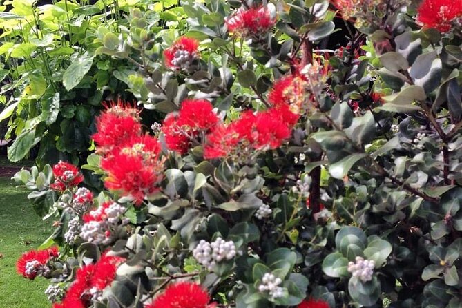 Explore Maui Private Tour - Convenient Pickup Options