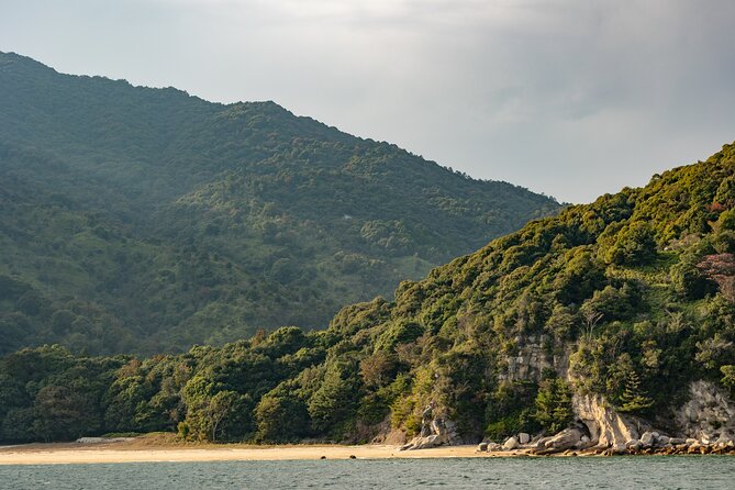Explore Miyajima Sail From Miyahama Onsen - What to Expect During the Sail