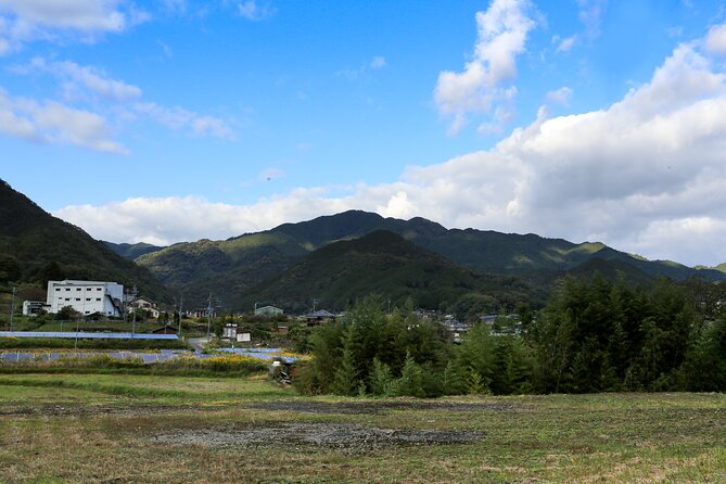 Explore Nature in Yoshino With E-Bike Tour - Crossing the Suspension Bridge