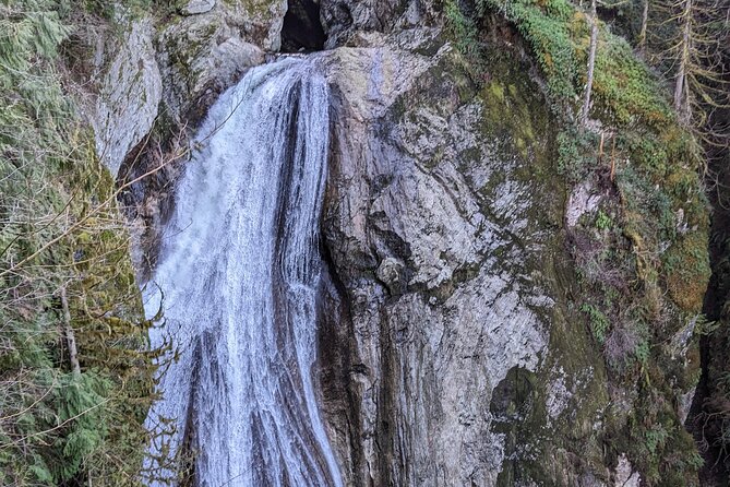 Explore Snoqualmie, Waterfalls and an Ancient Forest - Encounter Wildlife in the Natural Landscape