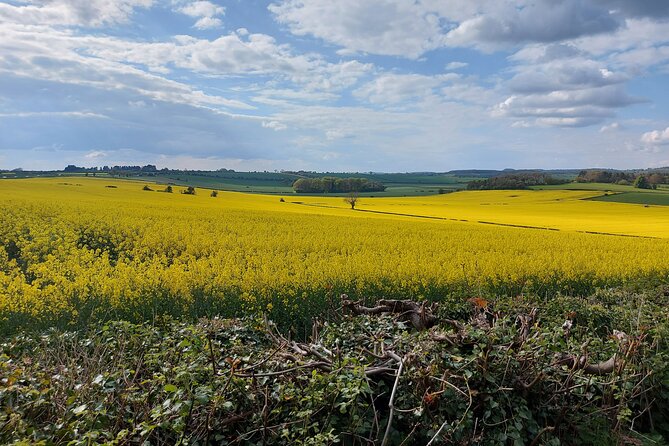 Explore the Cotswolds From Oxford Private Tour - Transportation and Logistics