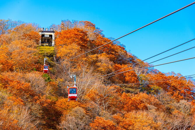 Explore the Culture and History of Nikko With This Private Tour - Booking Details