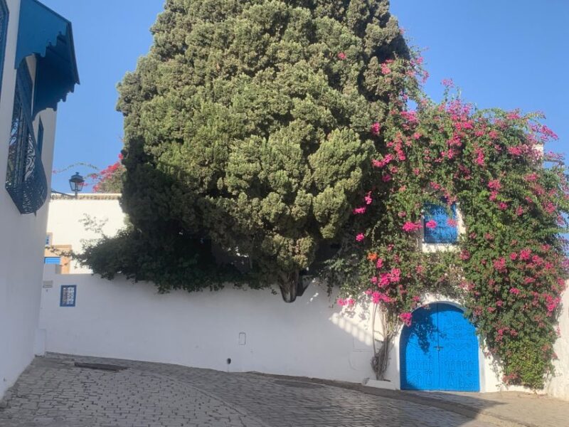 Explore the Essentials of Tunis in a Private Half Day 5 in 1 - Medina of Tunis Exploration