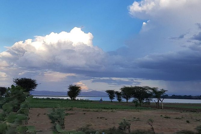 Explore the Ethiopian Rift Valley Lakes and the UNESCO Site of Steles of Tiya - Frequently Asked Questions