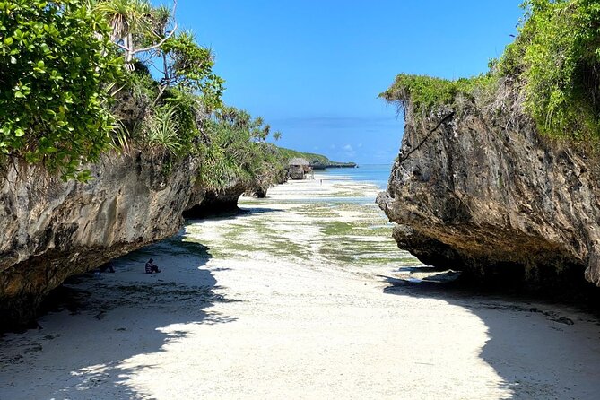 Explore Zanzibars 6 Quintessential Southeastern Charm Full Day