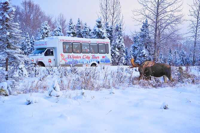 Exploring Anchorage on Winter Sundays Review - Cancellation and Booking Policies