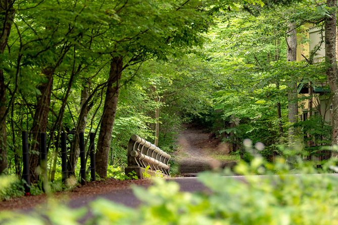 ~Exploring the Nature and Sightseeing Spots of Karuizawa~ Forest Bathing Cycling - Cycling Through the Forests of Karuizawa