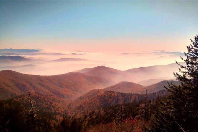 Fall Color Tour in the Smoky Mountains - Inclusions for a Comfortable Journey