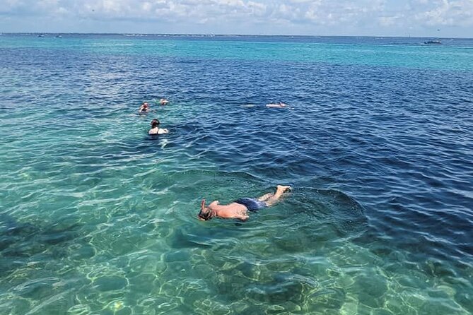 Family Friendly Snorkeling and Dolphin Tour - Wildlife and Activities
